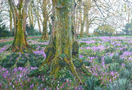 Image of lime tree and flowers